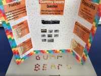 Year 6 Science Fair